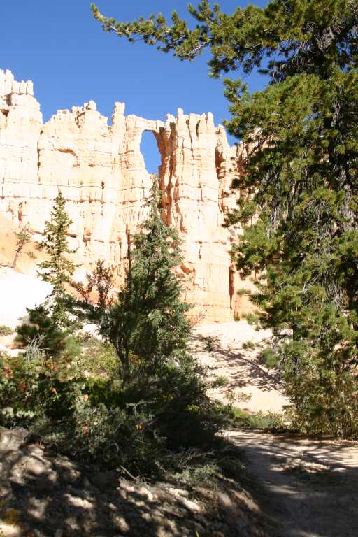 040918_BRYC_014.JPG (82239 Byte)