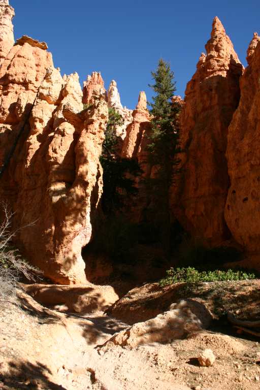 040918_BRYC_022.JPG (64727 Byte)