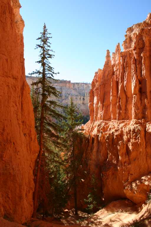 040918_BRYC_023.JPG (57538 Byte)