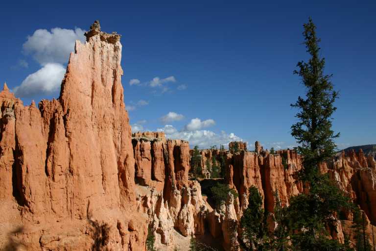 040918_BRYC_024.JPG (56404 Byte)