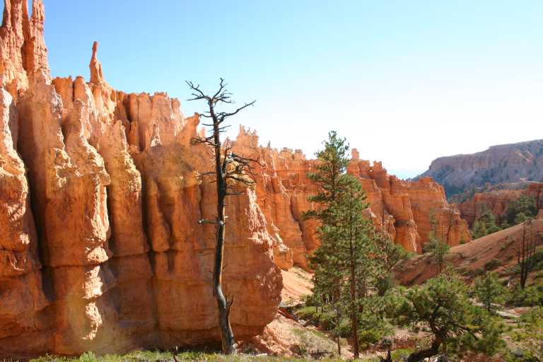 040918_BRYC_025.JPG (57999 Byte)