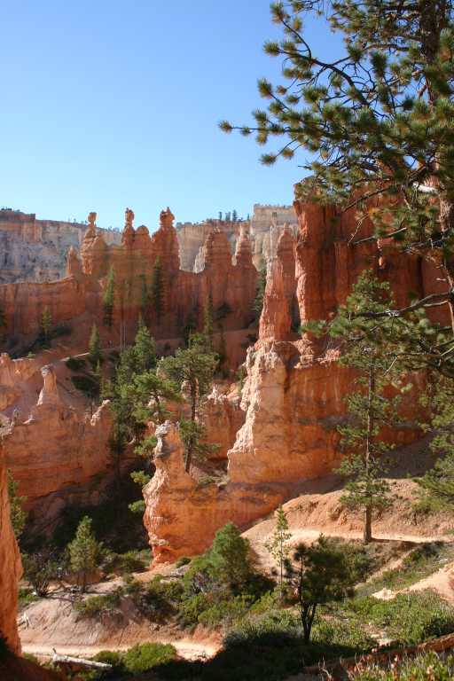 040918_BRYC_026.JPG (66116 Byte)