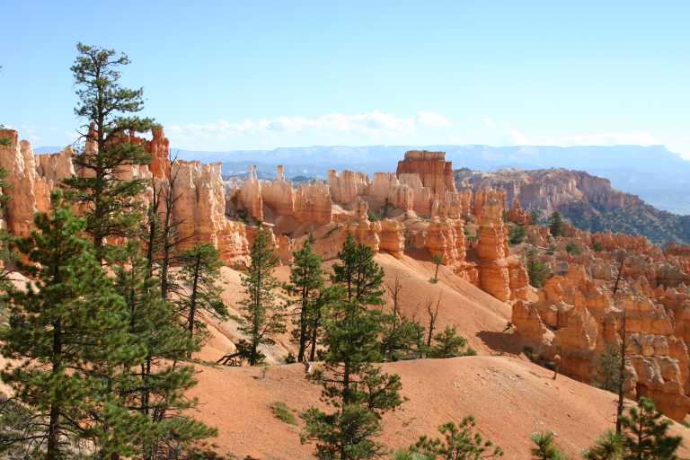 040918_BRYC_027.JPG (63864 Byte)