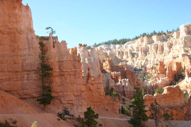 040918_BRYC_028.JPG (51710 Byte)