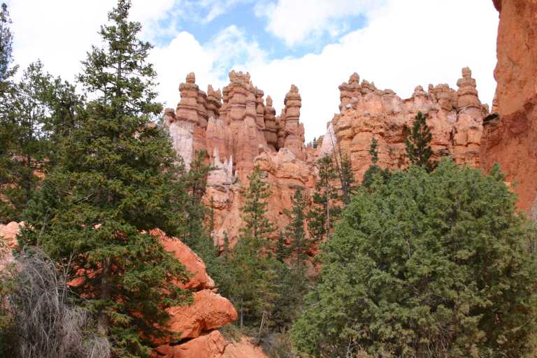 040918_BRYC_030.JPG (74239 Byte)