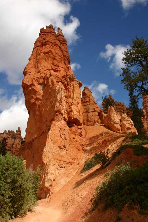 040918_BRYC_031.JPG (57006 Byte)