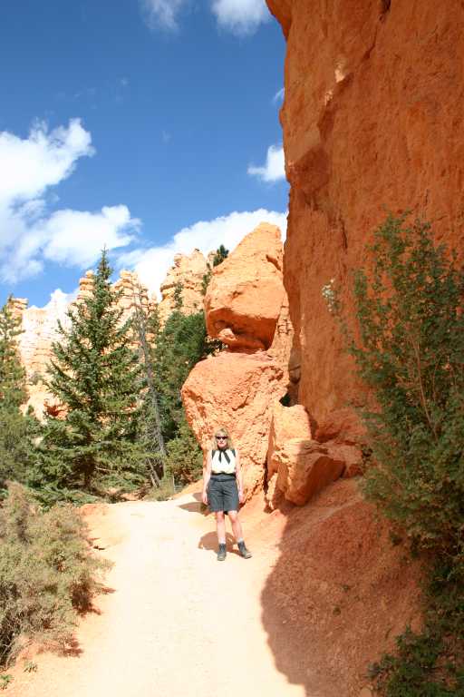 040918_BRYC_032.JPG (57802 Byte)