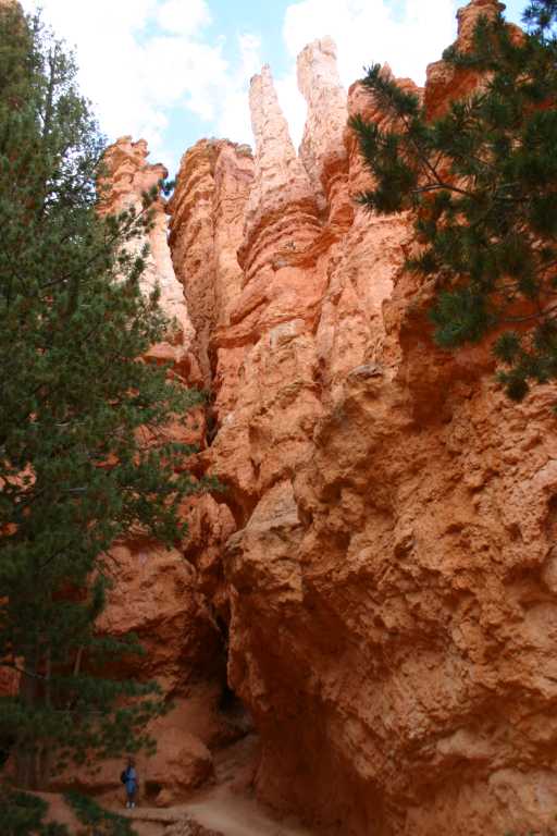 040918_BRYC_033.JPG (60505 Byte)