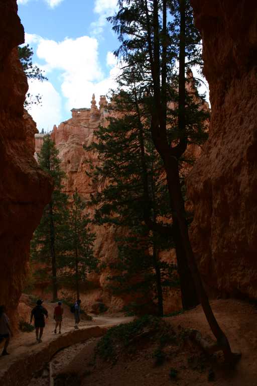 040918_BRYC_034.JPG (49773 Byte)