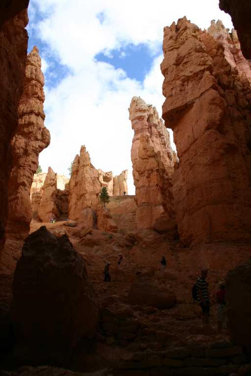 040918_BRYC_036.JPG (38737 Byte)