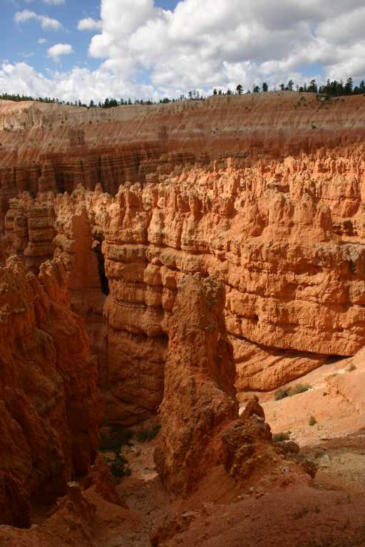 040918_BRYC_041.JPG (60034 Byte)