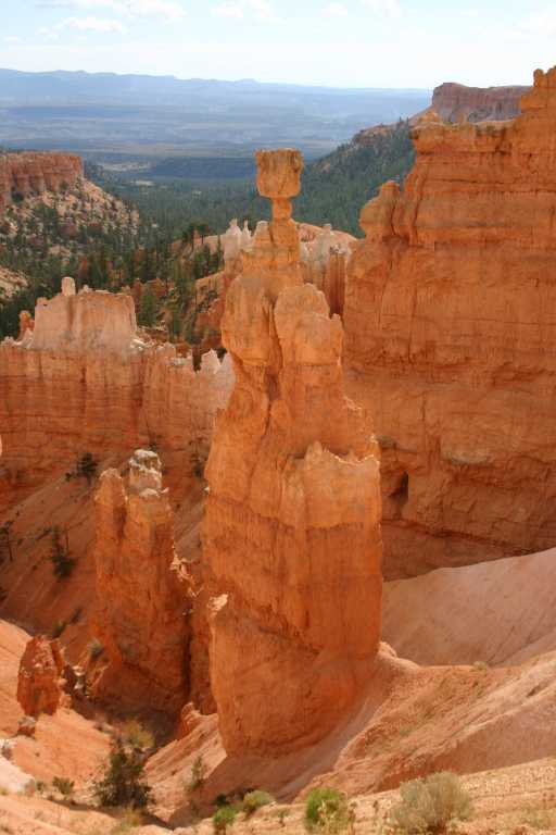 040918_BRYC_044.JPG (45587 Byte)