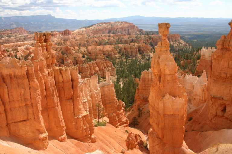 040918_BRYC_046.JPG (56226 Byte)