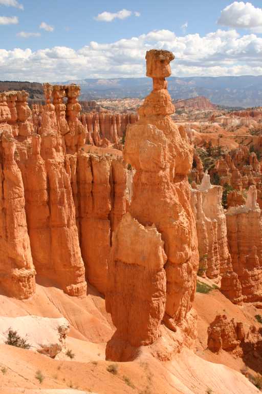 040918_BRYC_048.JPG (57856 Byte)