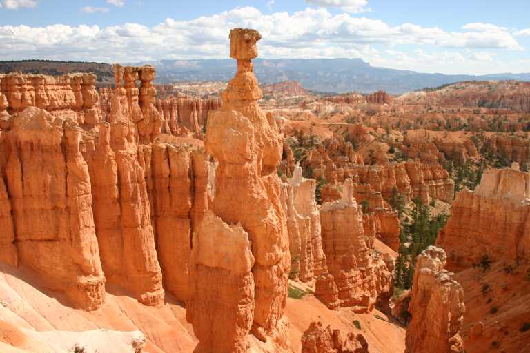 040918_BRYC_049.JPG (62087 Byte)