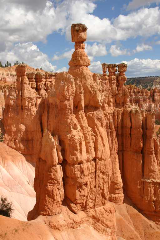 040918_BRYC_050.JPG (61773 Byte)