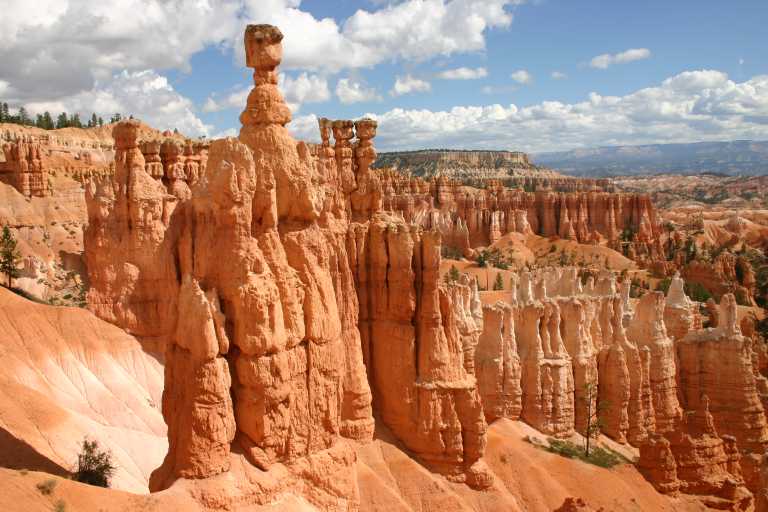 040918_BRYC_051.JPG (66832 Byte)