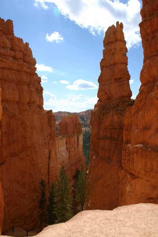 040918_BRYC_052.JPG (39064 Byte)