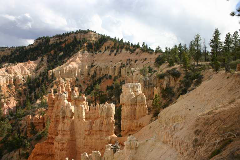 040918_BRYC_057.JPG (58798 Byte)