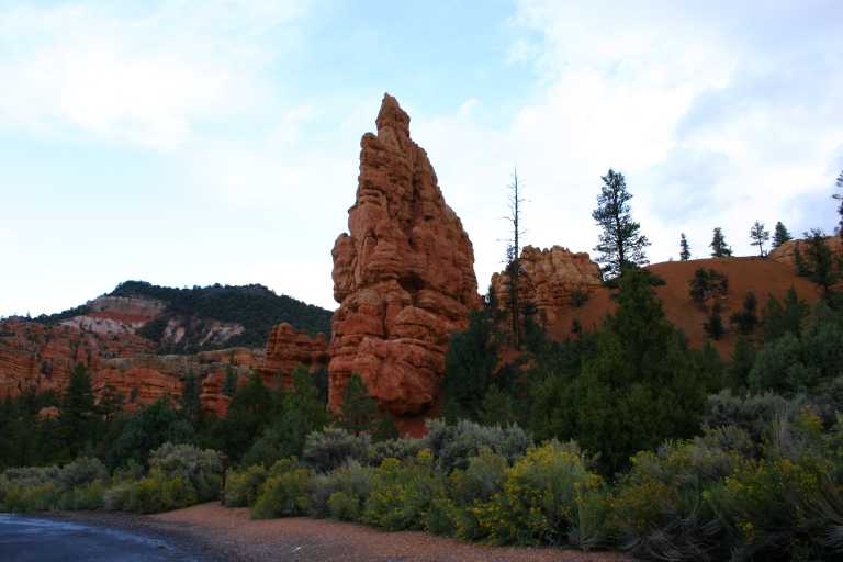 040919_BCLP_001.JPG (39722 Byte)