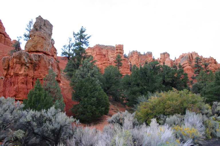 040919_BCLP_004.JPG (55523 Byte)