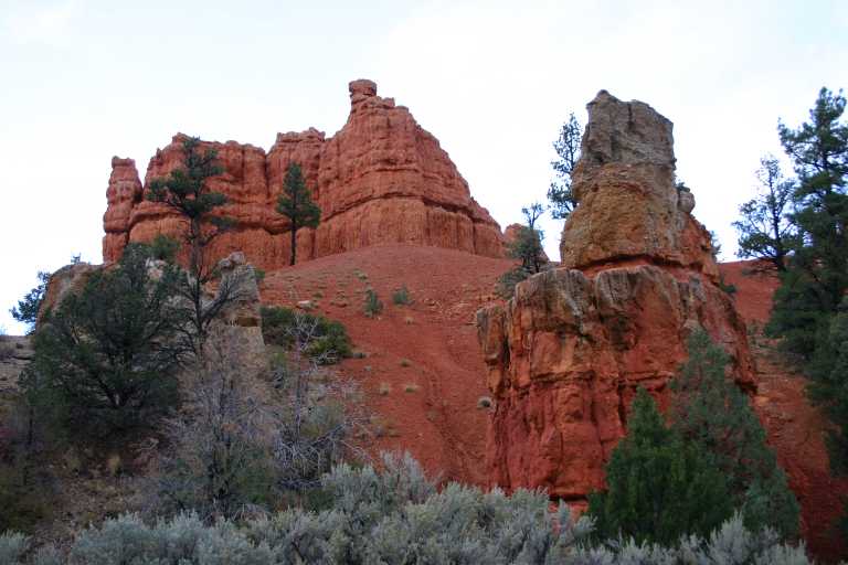 040919_BCLP_005.JPG (52902 Byte)