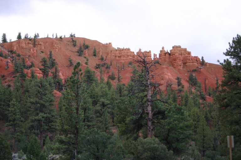 040919_BCLP_007.JPG (44648 Byte)