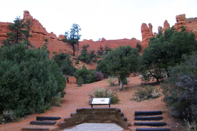 040919_BCLP_008.JPG (54007 Byte)