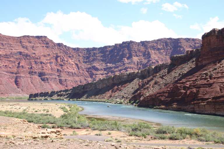 040919_BCLP_009.JPG (61299 Byte)