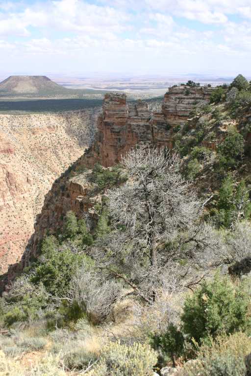 040920_LPGC_012.JPG (75213 Byte)