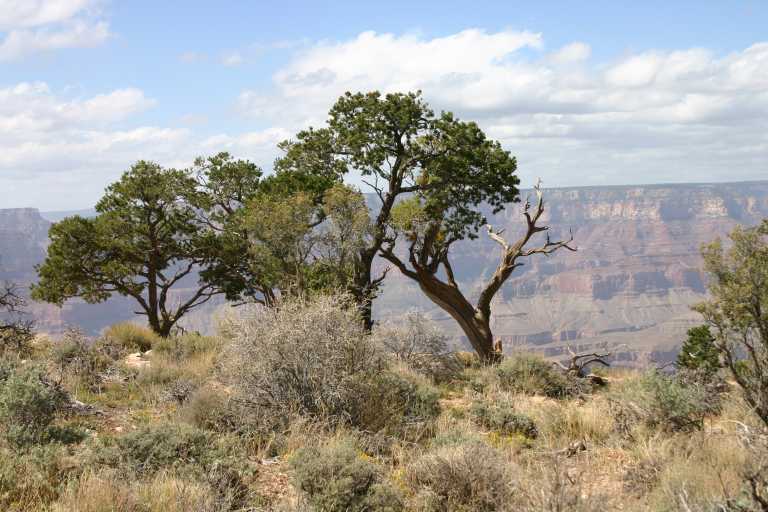 040920_LPGC_018.JPG (67134 Byte)