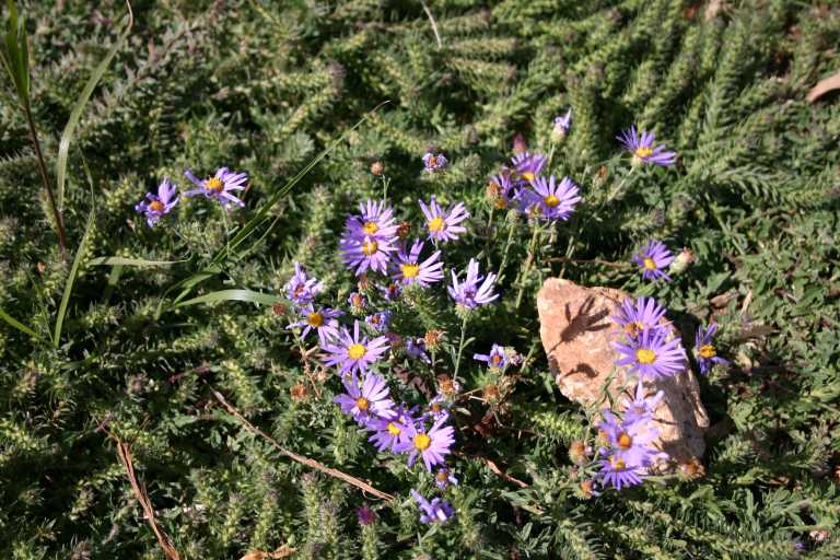 040920_LPGC_019.JPG (98111 Byte)