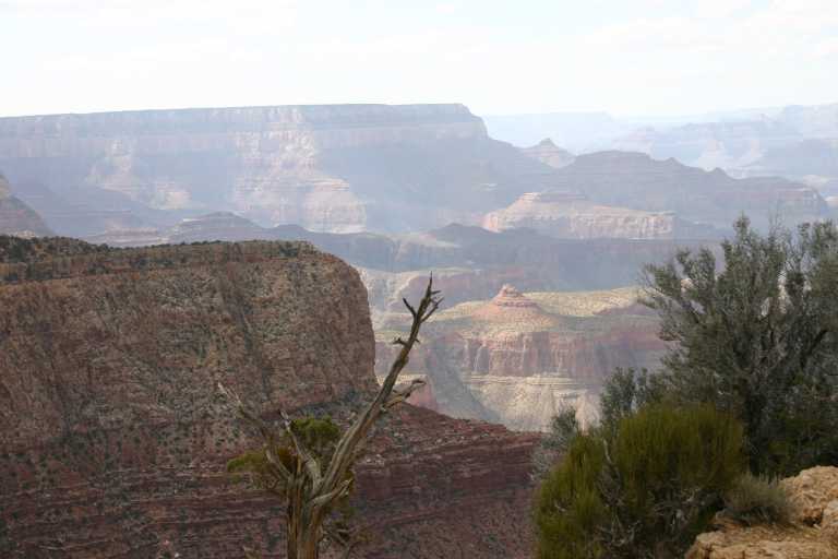 040920_LPGC_027.JPG (40367 Byte)