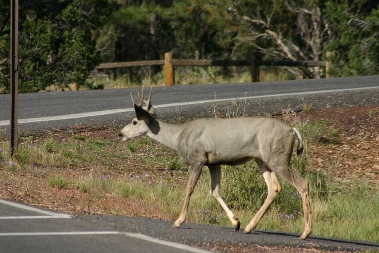 040920_LPGC_035.JPG (61397 Byte)