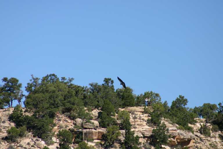 040921_GCNP_003.JPG (43997 Byte)