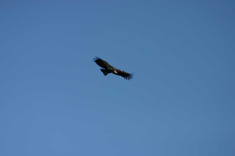 040921_GCNP_004.JPG (9572 Byte)