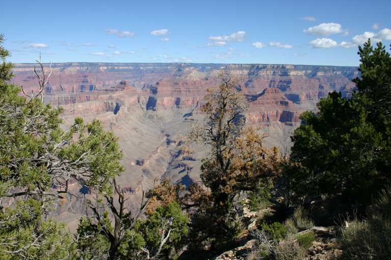 040921_GCNP_012.JPG (68912 Byte)