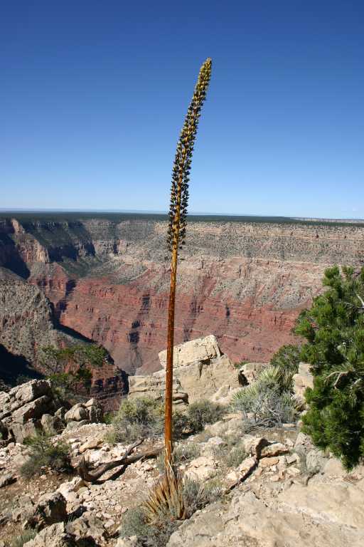 040921_GCNP_013.JPG (62695 Byte)