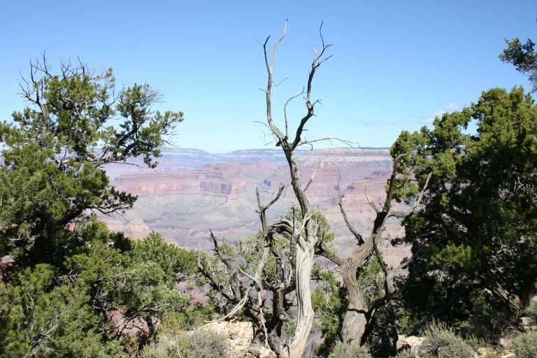 040921_GCNP_017.JPG (74588 Byte)