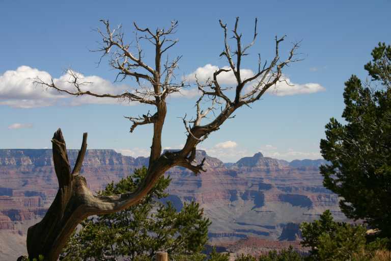 040921_GCNP_026.JPG (53673 Byte)