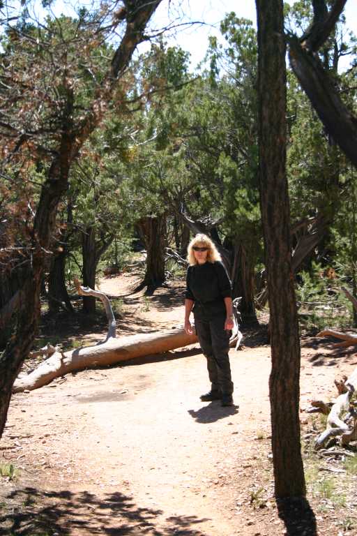 040921_GCNP_027.JPG (80479 Byte)