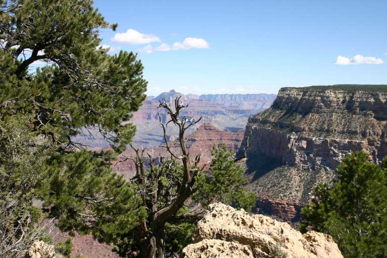 040921_GCNP_031.JPG (79708 Byte)