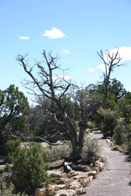 040921_GCNP_032.JPG (62958 Byte)