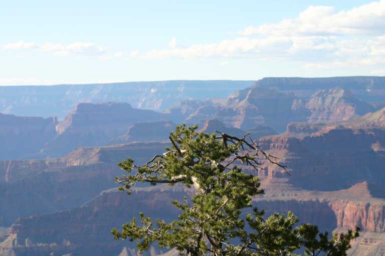 040921_GCNP_046.JPG (40964 Byte)