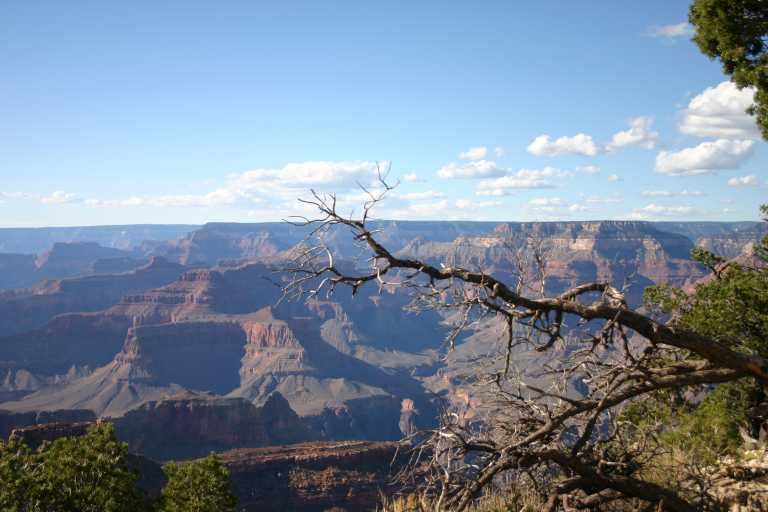 040921_GCNP_050.JPG (50733 Byte)