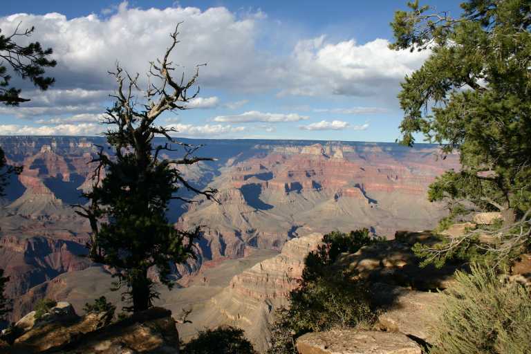 040921_GCNP_054.JPG (69081 Byte)