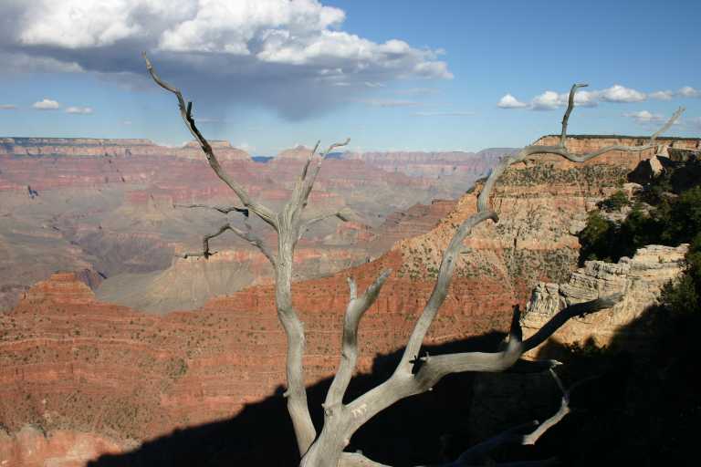 040921_GCNP_056.JPG (48285 Byte)