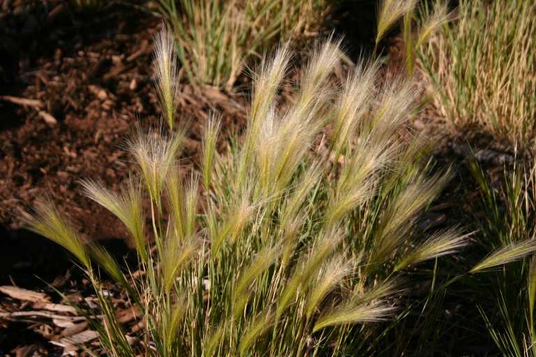 040921_GCNP_059.JPG (71733 Byte)