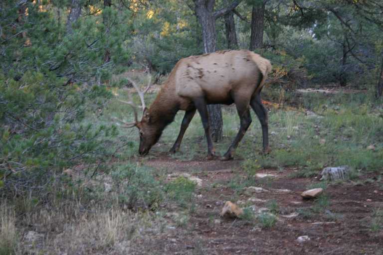 040921_GCNP_061.JPG (58787 Byte)