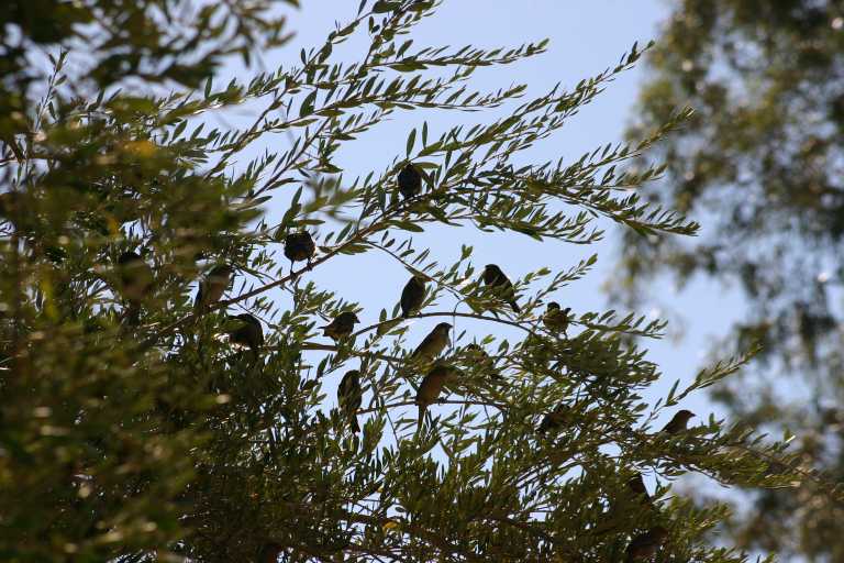 040922_GCLH_019.JPG (85671 Byte)